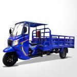 Riding 350cc Trike Motorcycle Motorized Open Body Type 10-20L