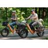 Buy cheap 20” Fat Tire Long Tail Cargo E-bike from wholesalers