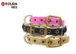 Pin Buckle Nylon Dog Collars Durable High Tensile Strength For Large Dogs