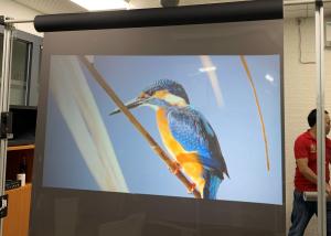 Buy cheap High Contrast Mirror Rear Projection Film Self Adhesive for window advertising from wholesalers