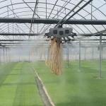 Vegetable Production Po Film Greenhouse with Water Pipe System and Low Shipping