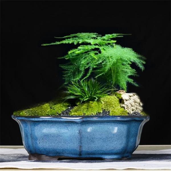 Buy cheap Glazed Bonsai 30x23x10cm Blue Ceramic Indoor Plant Pots from wholesalers