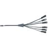 Buy cheap Communication 2 Pin Six Port 18 AWG Cable Wiring Harness from wholesalers