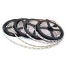 Buy cheap Outdoor 5M Cool White 5m 5050 Rgb 300 Smd Led Strip Lights With Controller CE Rohs Certification from wholesalers