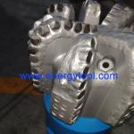 Diamond Drilling Bit 9-1/2 Inch API Spec Oilfield PDC Rock Drill Bit