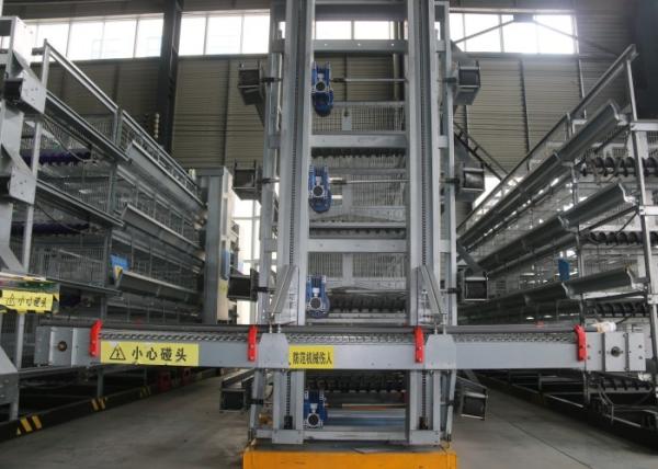 Buy cheap Commercial A Frame Chicken Raising Equipment Less Than 0.05% Egg Broken Rate from wholesalers