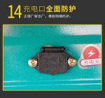 ELECTRIC TRICYCLE TRUCK LOAD WANG NEW NATIONAL STANDARD ELECTRIC CAR EXPRESS CAR
