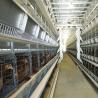 Buy cheap Chicken Farm Q235 Automatic Poultry Feeding System Wire With Dispensing from wholesalers