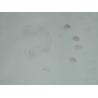Buy cheap C005 Ninhydrin spray from wholesalers