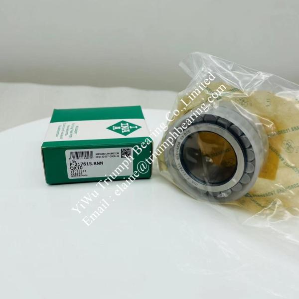 INA without cup , double-row full complement cylindrical roller bearing F-217615
