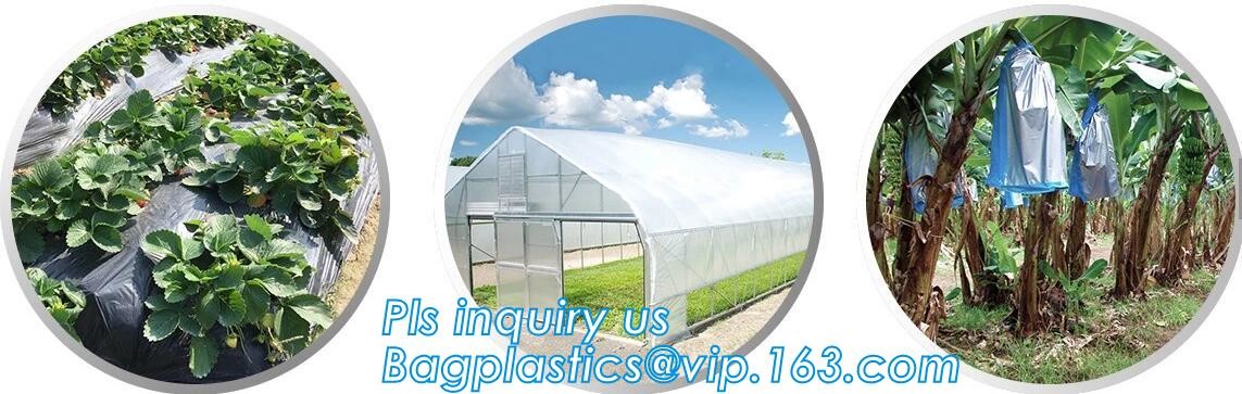 HDPE protective plastic Drop sheet Drop cloth Paint dust sheet, 3.7*3.7m PE Plastic Drop Sheet, painter dust sheetS, PAC