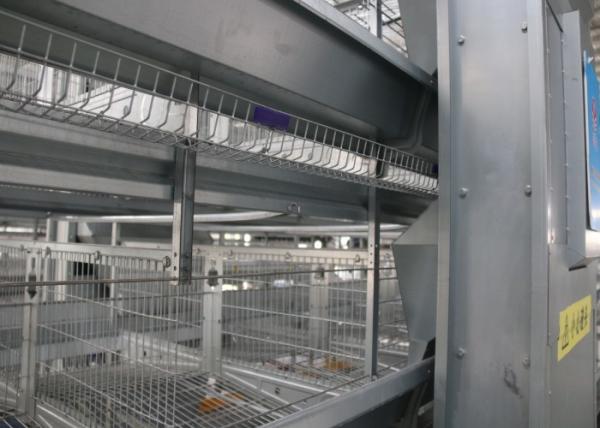 Buy cheap Silver Industrial Chicken Coop Poultry Cage Construction 15-20 Years Lifespan from wholesalers