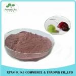 Anti-inflammation Natural Grape Skin Extract Powder 5% Resveratrol