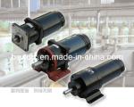 DC Micro Motor