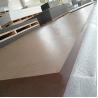 Buy cheap PMMA MMA Plexiglass Transparent Acrylic Sheets 2mm-30mm SGS Certified from wholesalers
