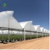Buy cheap Sawtooth Top Ventilation Agricultural Glass Greenhouse 9.6m Multi Span from wholesalers