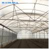 Buy cheap Vegetables Seeds Plastic Film Greenhouse Ventilated Multi Span Sheet Covering from wholesalers