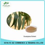 Pure Natural Eucalyptus Leaf Extract Powder 10:1 20:1