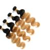 Buy cheap Virgin Ombre Hair Weave Bundles , Body Wave 3 Tone Ombre Brazilian Hair from wholesalers