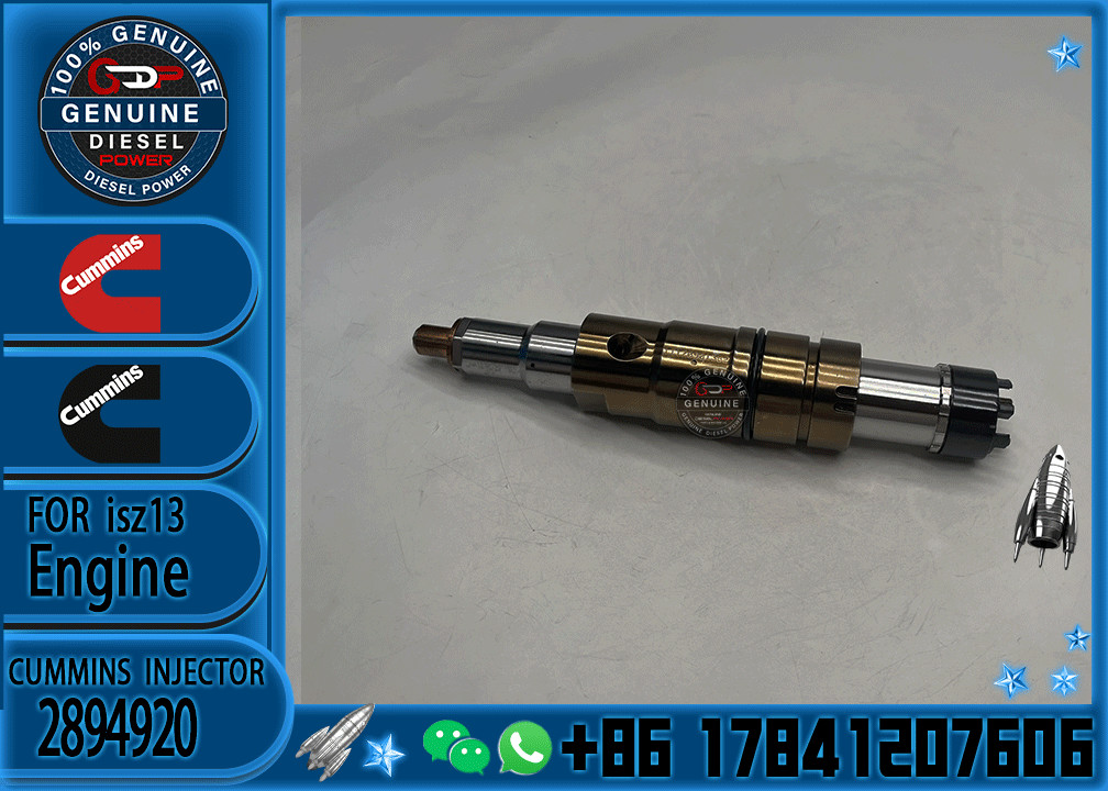 Isx15 Qsx15 Engine 5579417px 2872405nx 2894920 2872544 2086663 Diesel Common Rail Fuel Injector 2872405