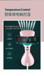 Iron Box Clothing Garment Steamer with Brush 140*115*275mm Outdoor and Steam