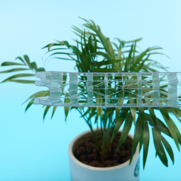 Buy cheap 100% Virgin Bayer Polycarbonate Hollow Sheet For Construction from wholesalers