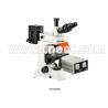 Buy cheap 40X - 1000X Trinocular Fluorescence Microscope Compound Microscopes A16.0205 from wholesalers