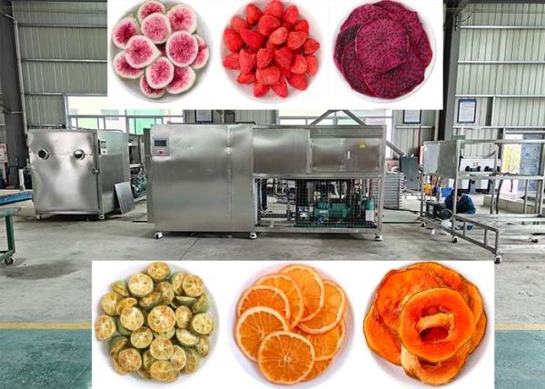 OEM / ODM Food Vacuum Freeze Dryer Experience Unmatched Freeze Drying Performanc