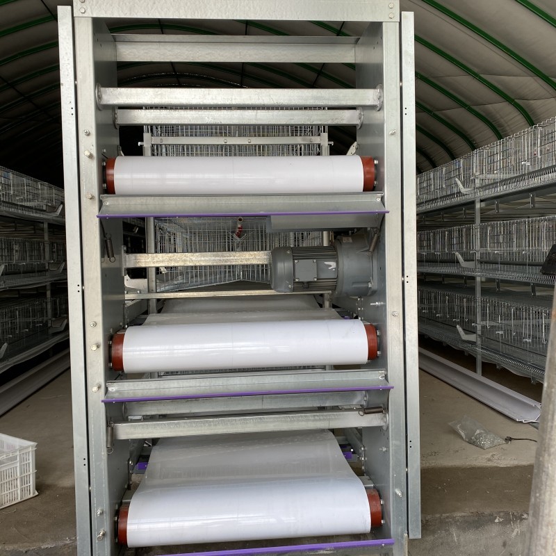 H Type Layer Chicken Cage Fully Automatic 195*230*150 For Poultry Farm