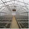 Buy cheap Side Ventilation Hot Galvanized Steel Pipe Tunnel Single Span Greenhouse from wholesalers