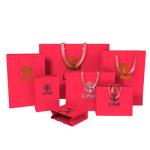 Coated Paper Custom Printed Gift Bags With Handle Offset printing