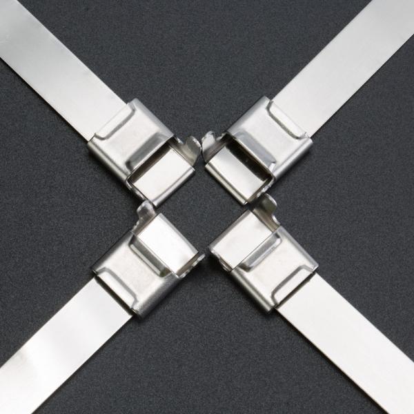 Buy cheap SS304 Wing Seal Clips Banding Metal Clasp Buckle 1/4 Inch width from wholesalers
