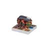 Buy cheap SBTC-2-25+ from wholesalers