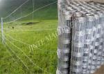 CE Twisted head 5.5kw Grassland Field Fence Machine