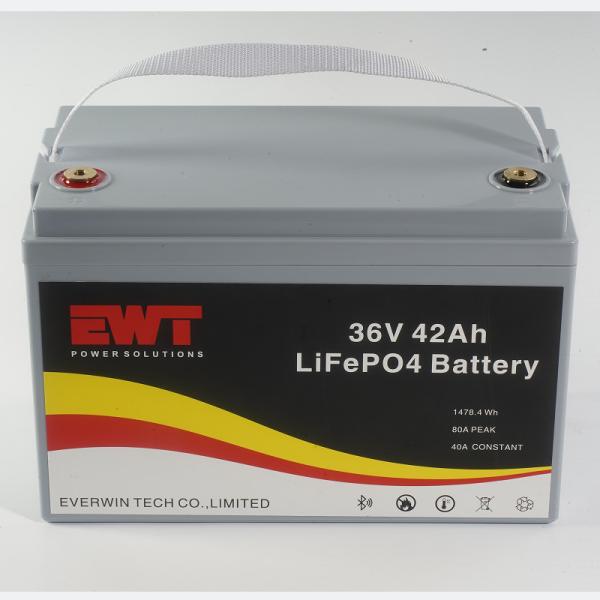 Buy cheap 36v 42Ah Lithium Ion Battery 2000cycles Light Weight Lifepo4 36v 42ah Battery Pack With BMS from wholesalers