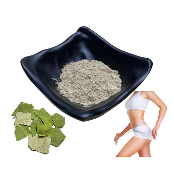 Buy cheap Powdered Lotus Leaf Extract Nuciferine 10% 50% 98% For Lose Weight Products from wholesalers