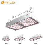 400W~1200W Full Spectrum LED Light 1080µmol/S For Flower Plantation