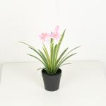 Artificial Chlorophytum Comosum Fake Bonsai Tree With Flower 28 CM 38 CM 48 CM