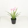 Buy cheap Artificial Chlorophytum Comosum Fake Bonsai Tree With Flower 28 CM 38 CM 48 CM from wholesalers