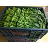 Buy cheap Mushroom Fresh Cut Produces Pre Cooling Systems Farming Equipment Vacuum Cooling Machine from wholesalers