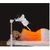 Buy cheap Pain Reduction Far Infrared Sauna For Physiotherapy And Rehabilitation from wholesalers