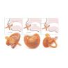 Buy cheap 100% Soft Silicone One Piece Pacifier for Babies 6-16 Months Orthodontic Nipple BPA-Free from wholesalers