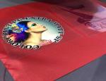 Vivid Color Waterproof Heat Transfer Film Printing Customized Shape
