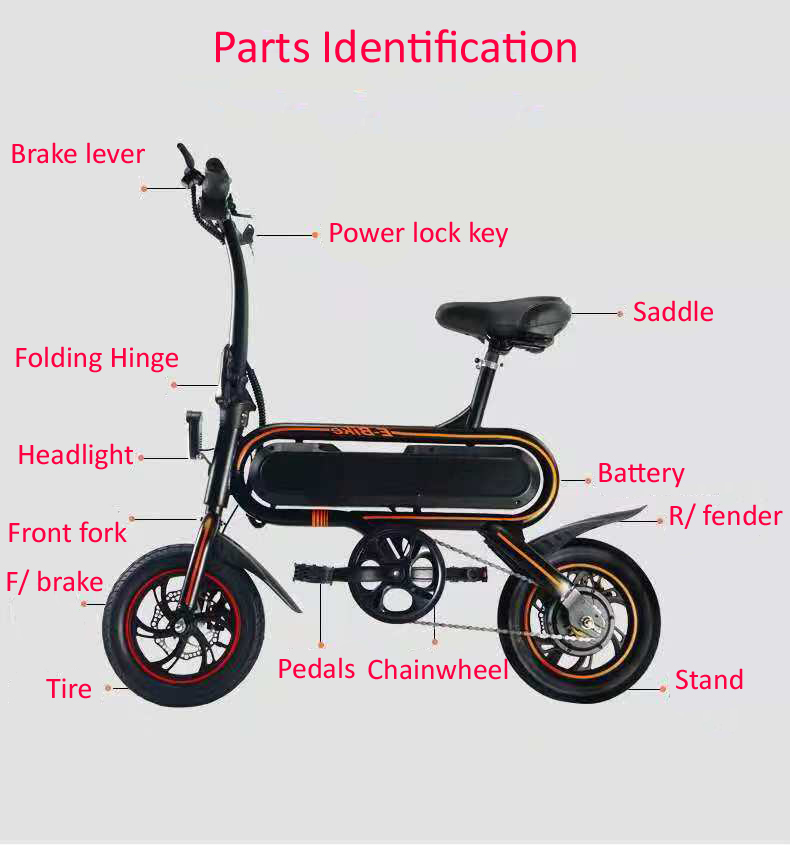 Lithium Battery Powered 12 Inch Eco Electric Bike for Eco-Friendly and Modern Commuting