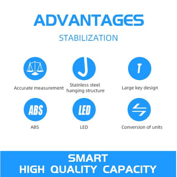 Customized Support LCD Display Beichen Electric Hanging Crane Luggage Weight Scale 300kg Mini Crane Scales