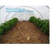Buy cheap high quality PP nonwoven fabric agriculture Cover Non Woven Fabric agriculture fabric plant cover fruit bags, bagease from wholesalers