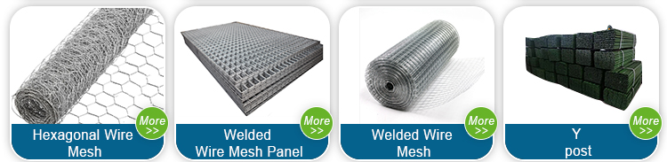 PVC Coated Welded Mesh Wire webbing square /Green Pvc Coated Welded Wire Mesh/Black Pvc Coated Welded Wire Mesh panel