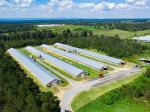 Prefab Steel Structure Chicken House Fireproof Farm Steel Frame Building