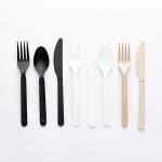 Compostable 100% Biodegradable Disposable CPLA Cutlery Set With Box CPLA Knife