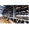 Buy cheap Steel Metal Sheds Cow Pig Houses Prefab Poultry House Roller Door Construction from wholesalers